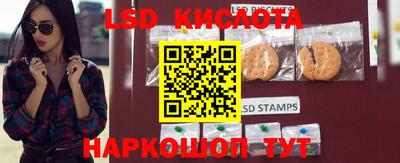 spice Донской
