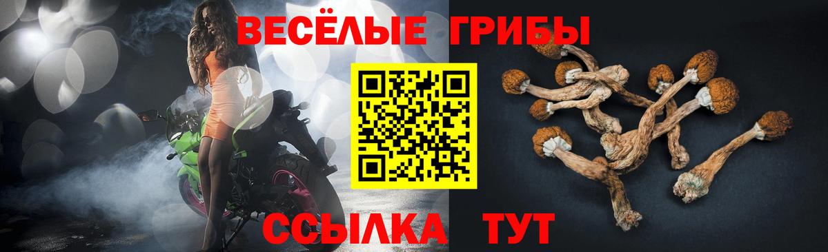 Галлюциногенные грибы Psilocybine cubensis  Вход с VPN  Псилоцибиновые грибы Psilocybe  Новоалександровск 